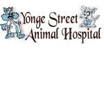 Yonge Street Animal Hospital