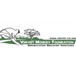 Vervet Monkey Foundation