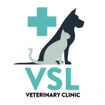 VSL Veterinary Clinic