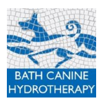 Bath Canine Hydrotherapy